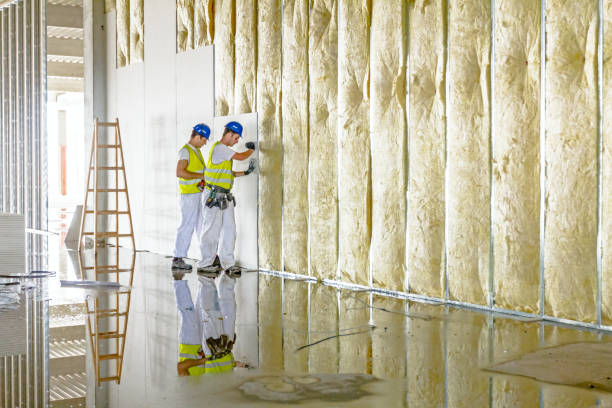 Best Insulation Maintenance and Repair in Oak Bluffs, MA